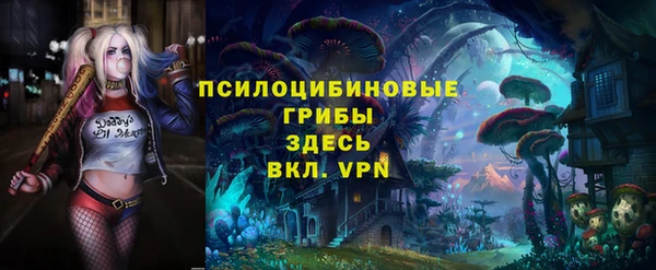 спиды Армянск
